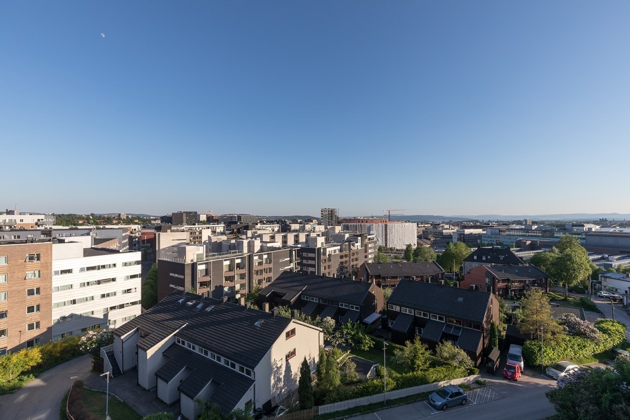 Utsikt. Galleribilde