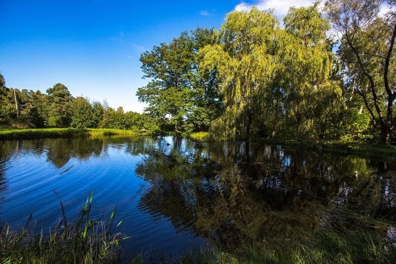 Koselige Groosedammen rett bak bygningen Galleribilde
