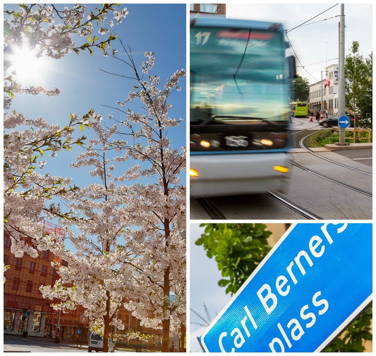 Like rundt hjørnet fra Rodeløkka ligger Carl Bernes plass, et pulserende kollektivknutepunkt med alle servicetilbud. Galleribilde