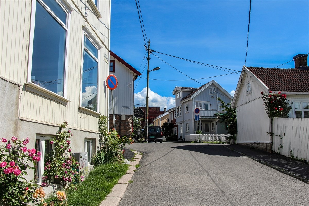 På våren spirer blomstene langs husvegger og i hager. Galleribilde