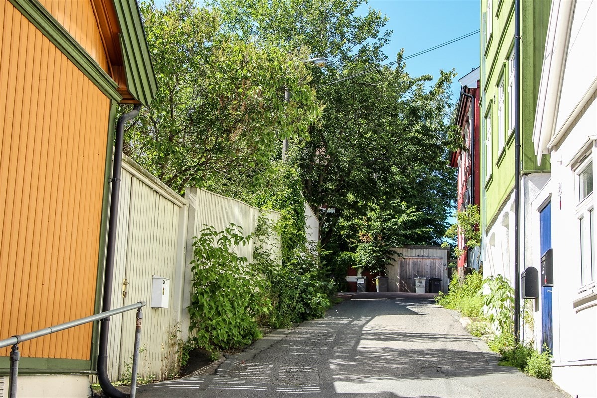 På sommeren er nabolaget grønt og frodig. Galleribilde