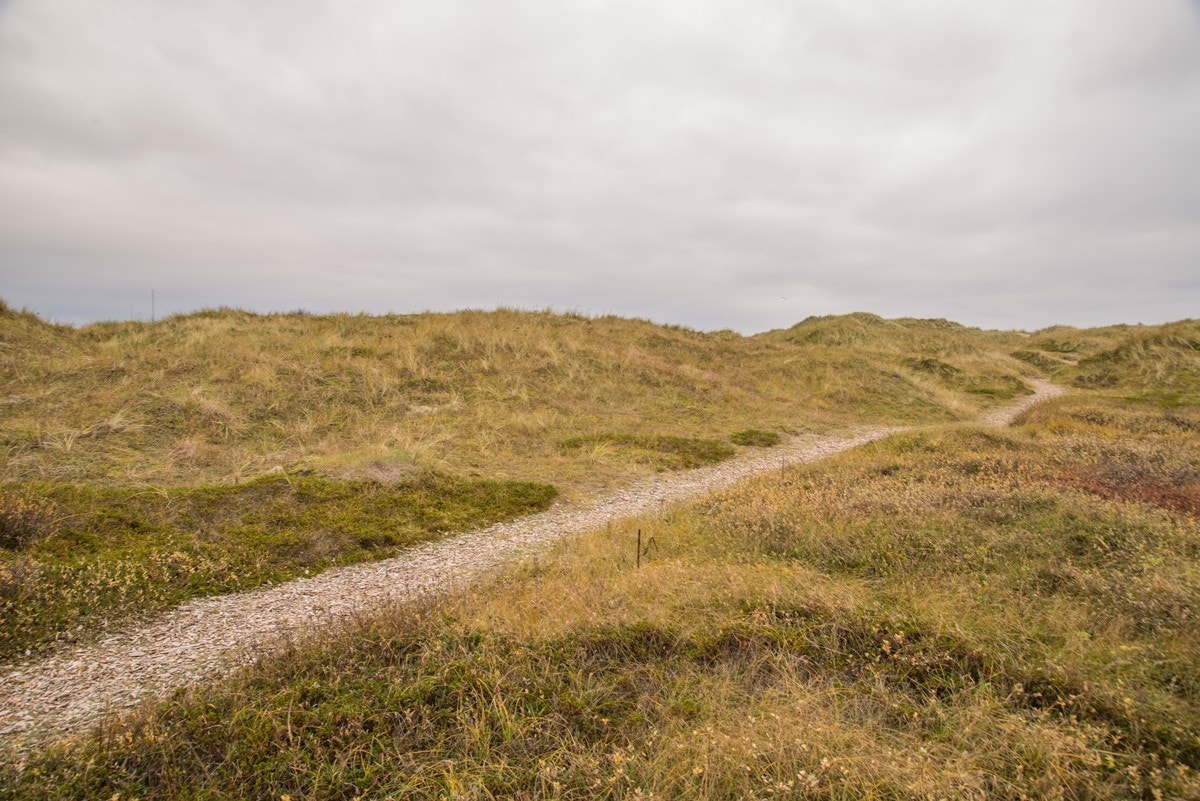 På vei til stranden Galleribilde