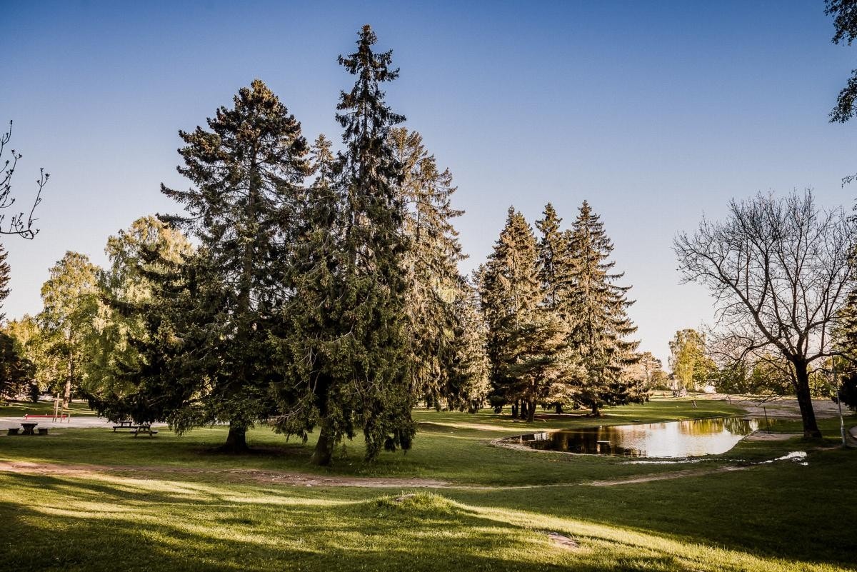 Få meter også til både Ekeberg med både parken og sletta som er et yndet sted for store og små. Galleribilde