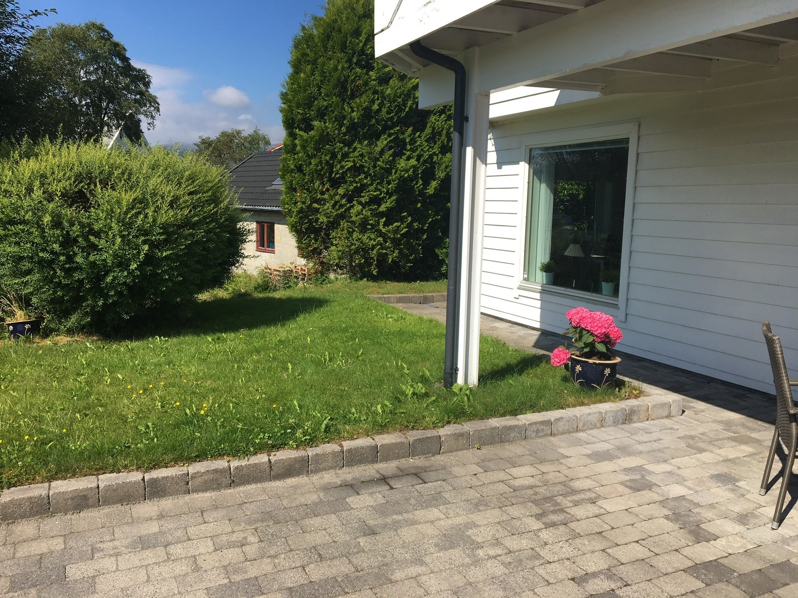 Hage i sommersol Galleribilde