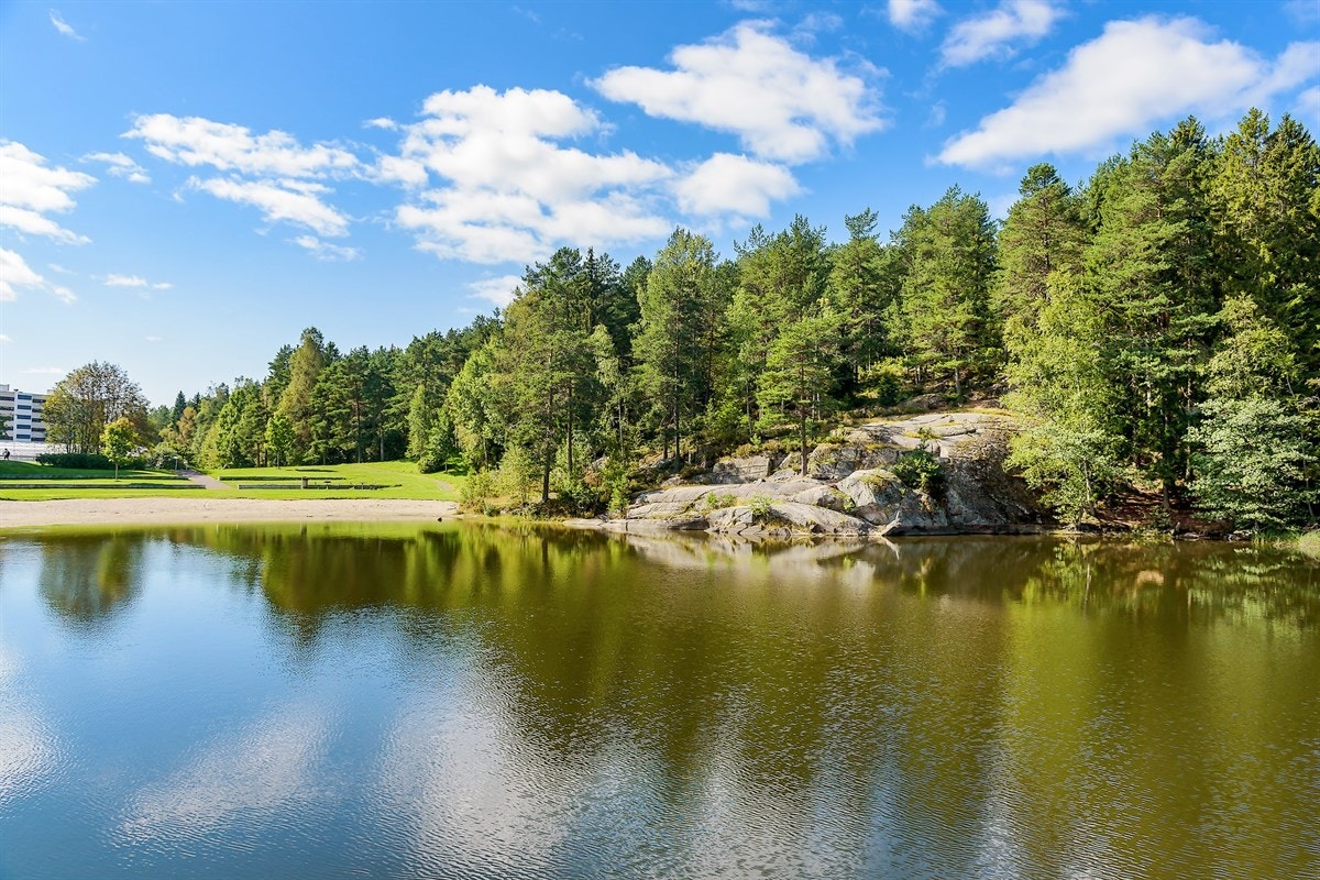 Nærhet til marka og badevann. Galleribilde