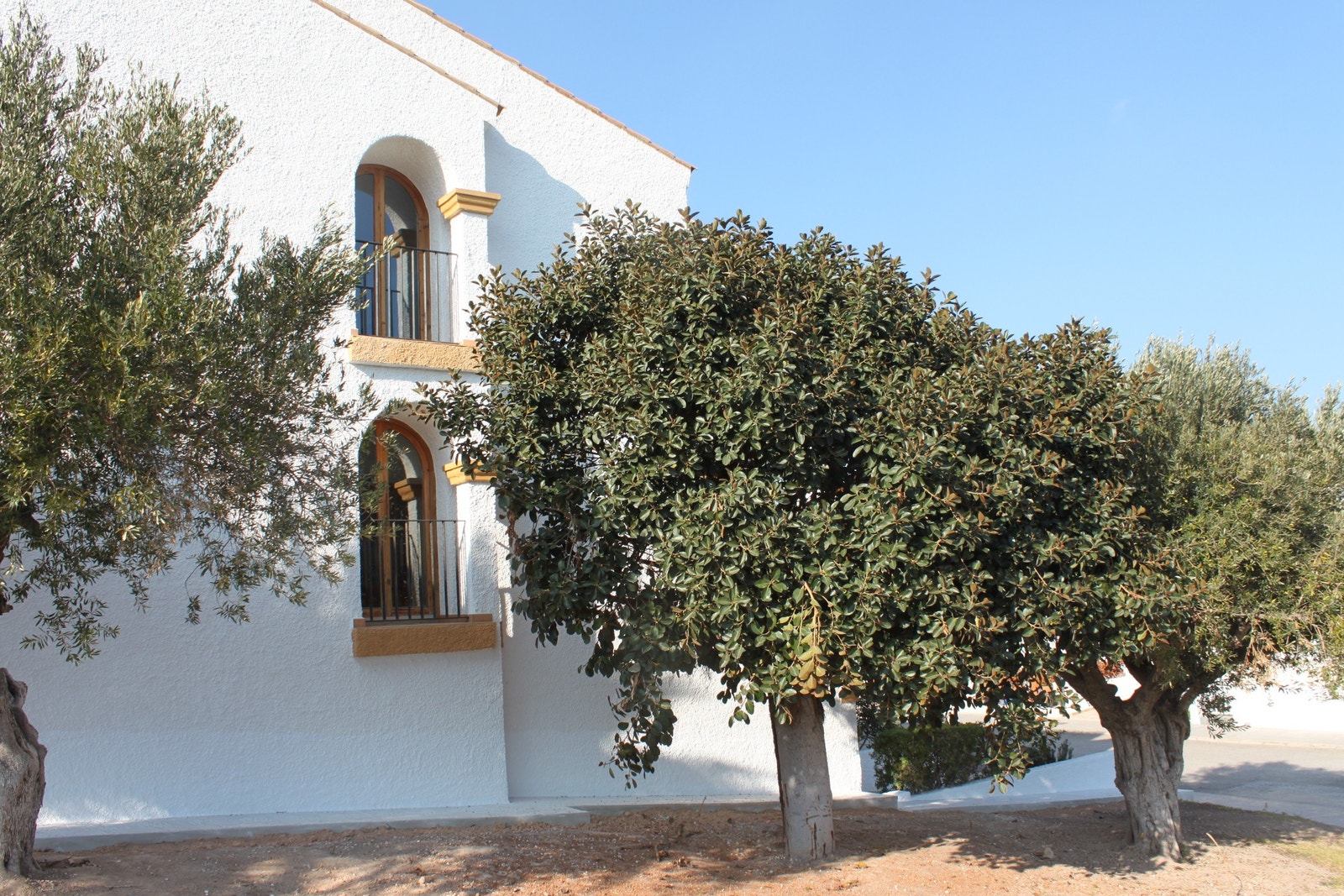 Vinduer på endeveggen gir god gjennomlysning. Galleribilde