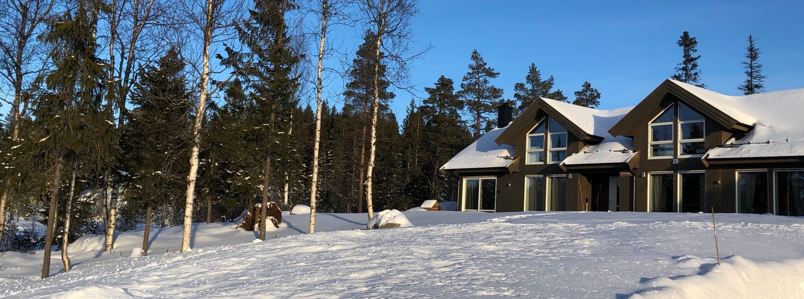 Tvillingstua i vinterdrakt Galleribilde