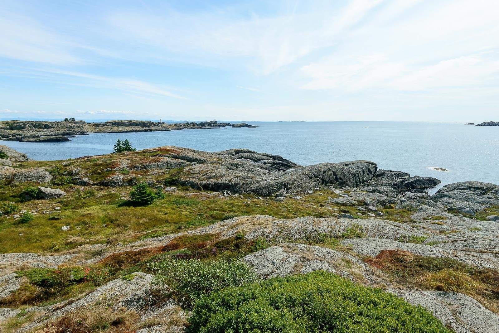 Flott kystkulturlandskap Galleribilde