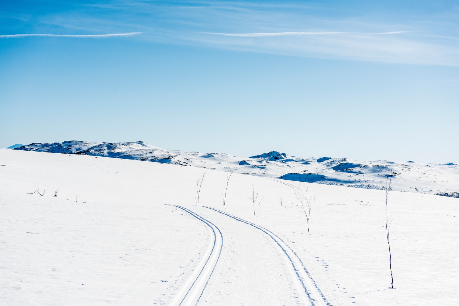 I umiddelbar nærhet til Fjellsnaret er det fantastiske langrennsløyper. Galleribilde
