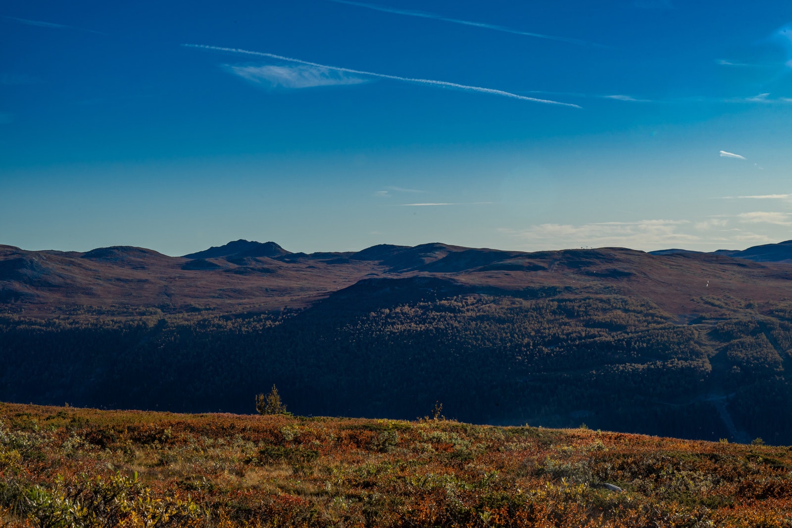 Utsikt mot Uvdal Skisenter og Hardangervidda fra Fjellsnaret Galleribilde
