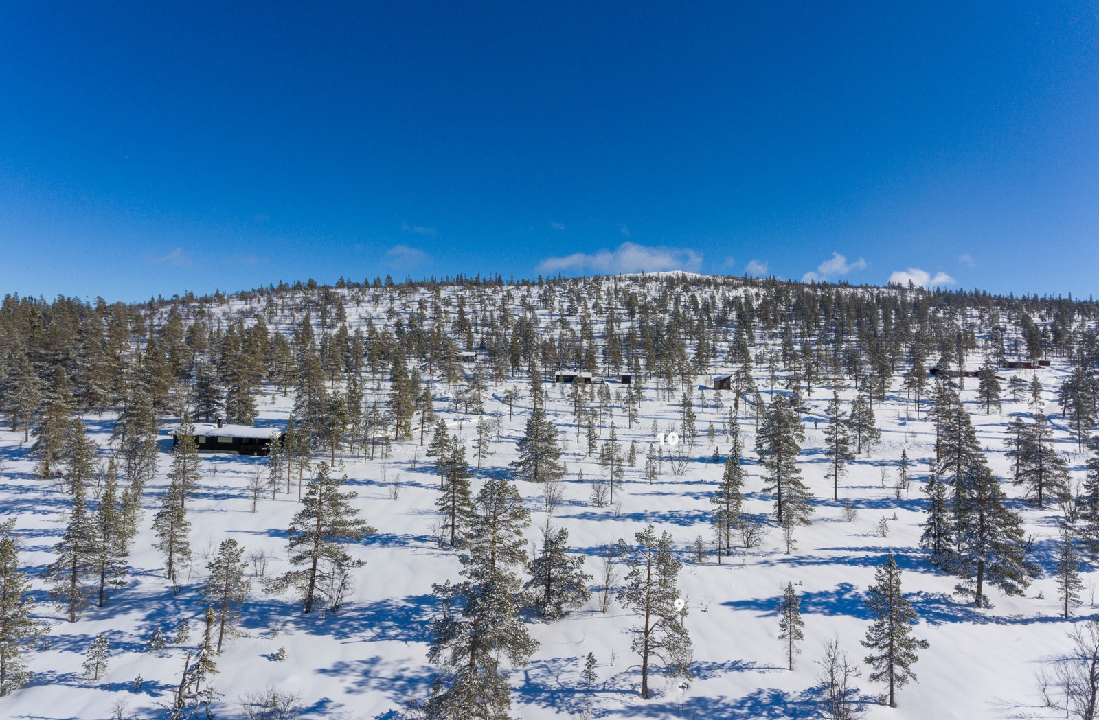 Kletten, Lauvåsen Galleribilde