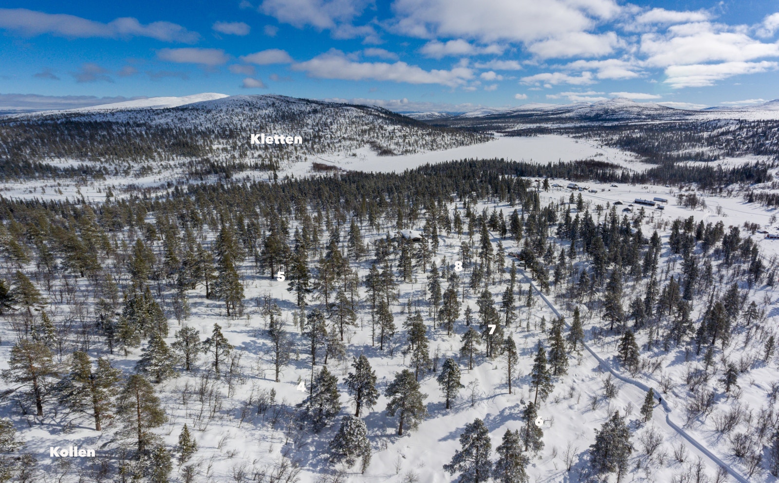 Tomtene på Kollen er alle sørvendte Galleribilde