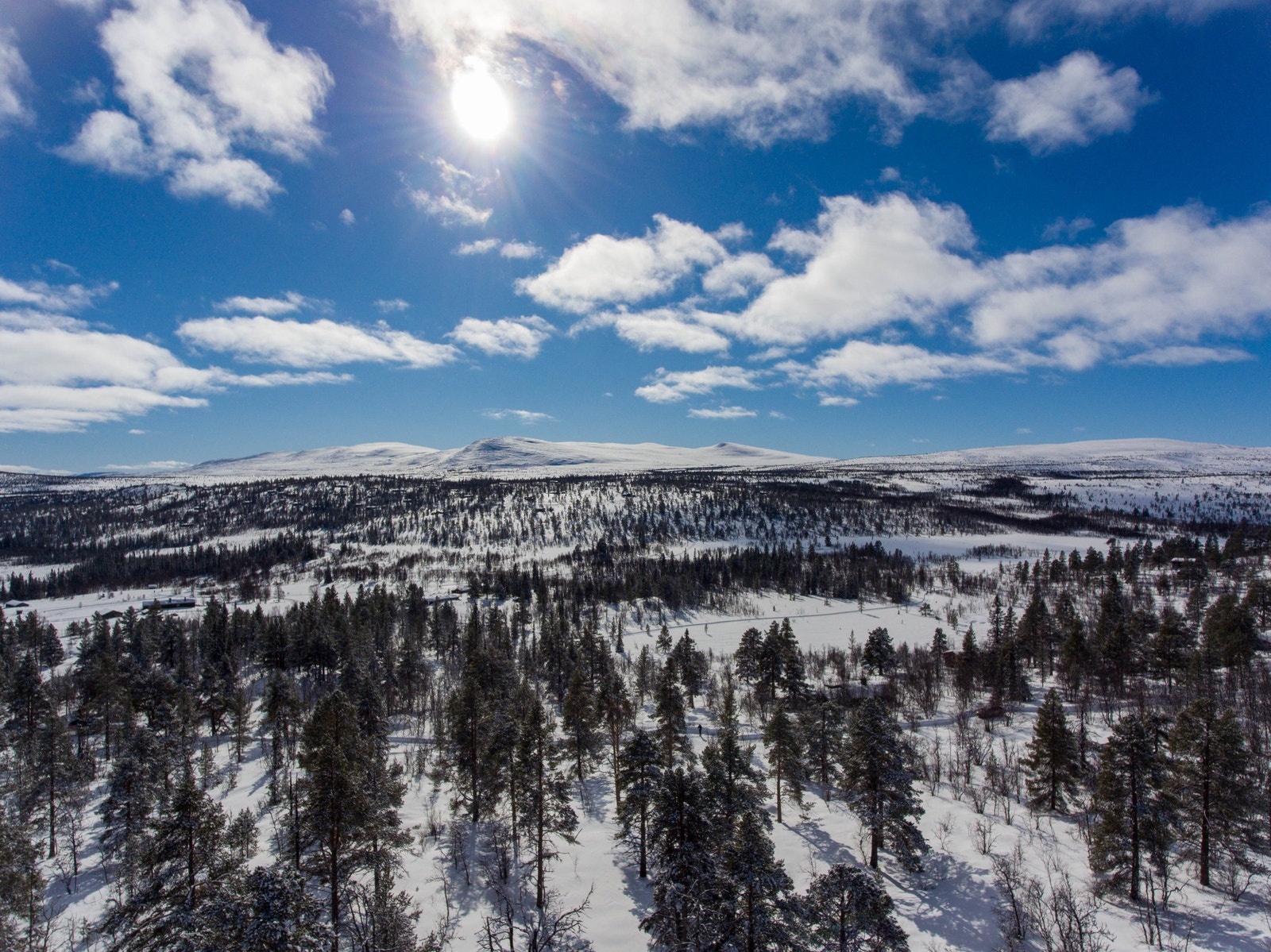 Utsikt mot sør fra Kollen, Lauvåsen Galleribilde
