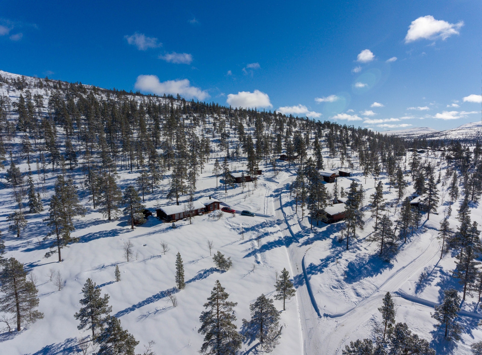 Helårs bilvei frem til hytta Galleribilde