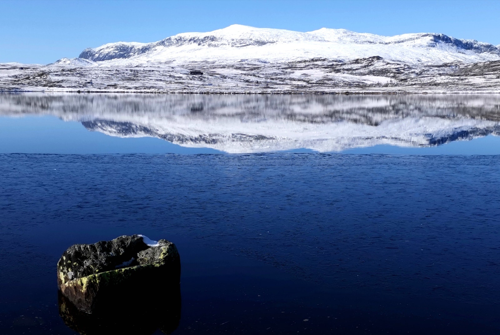 Reineskarvet er eit fint turmål frå Leveldåsen. Galleribilde