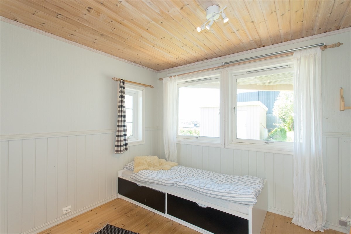 Kanelia Galleribilde