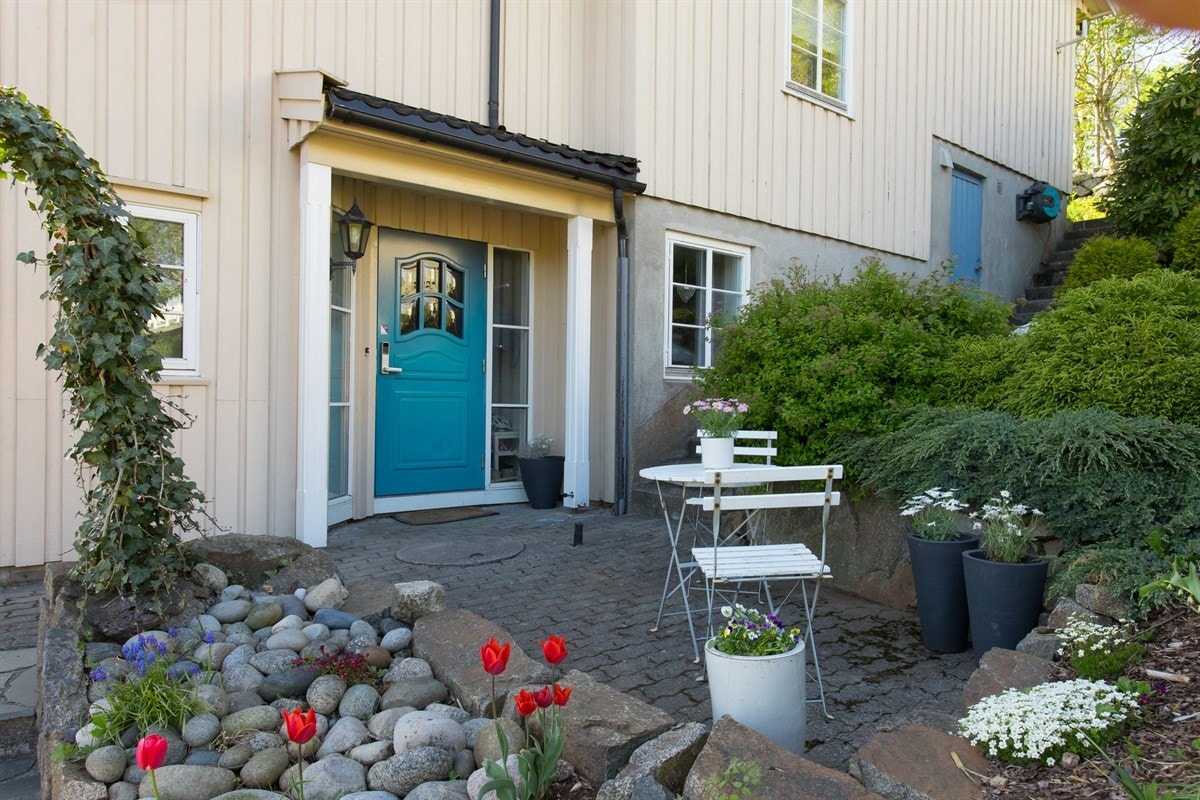 Kanelia Galleribilde