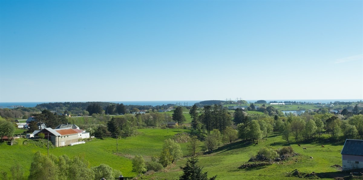 Kanelia - utsikt Galleribilde