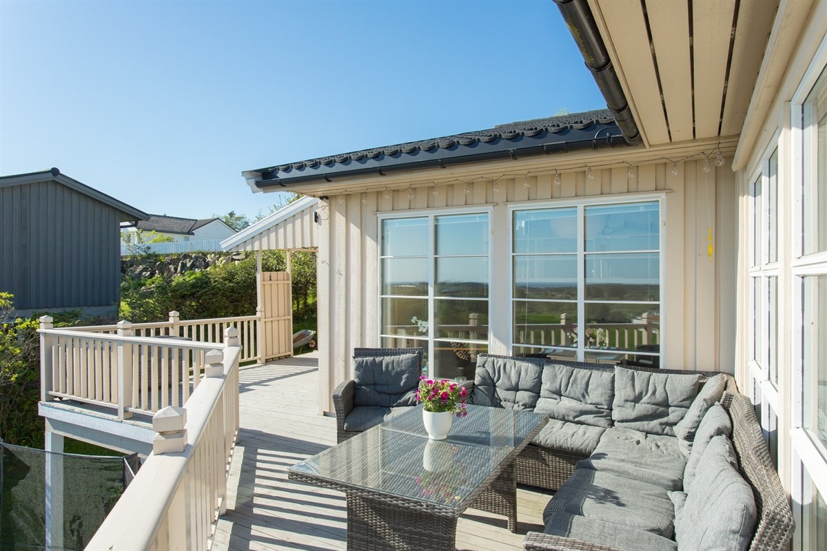 Kanelia Galleribilde