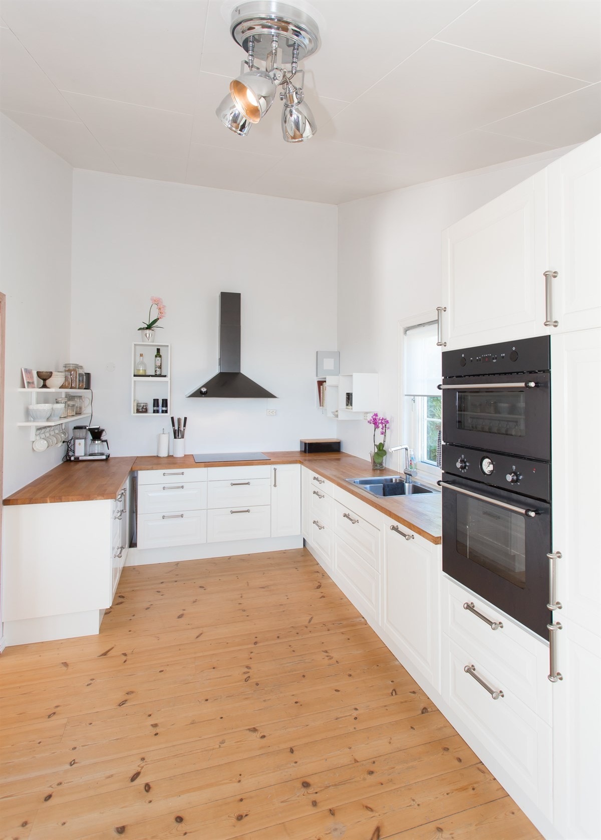 Kanelia Galleribilde