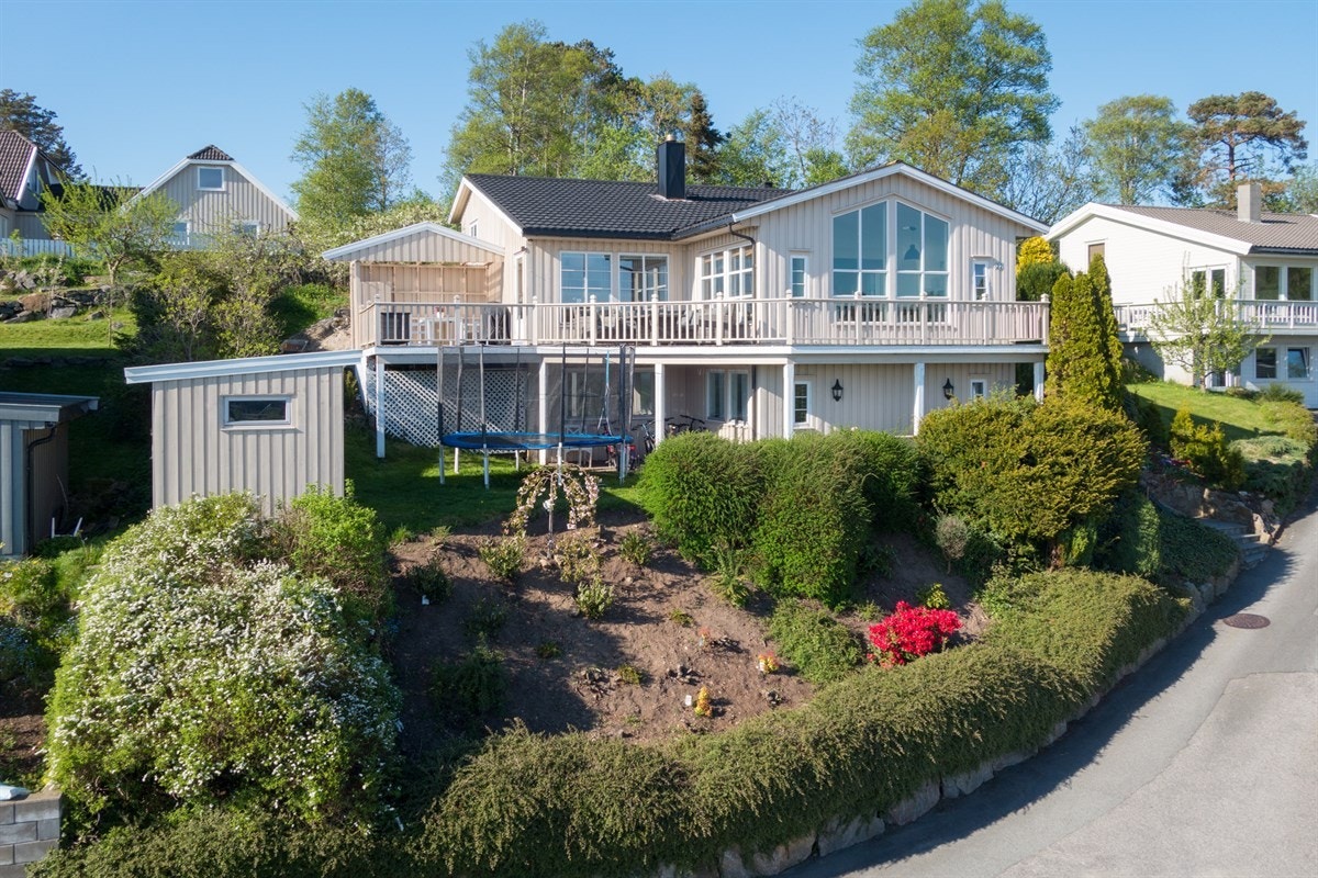 Kanelia Galleribilde