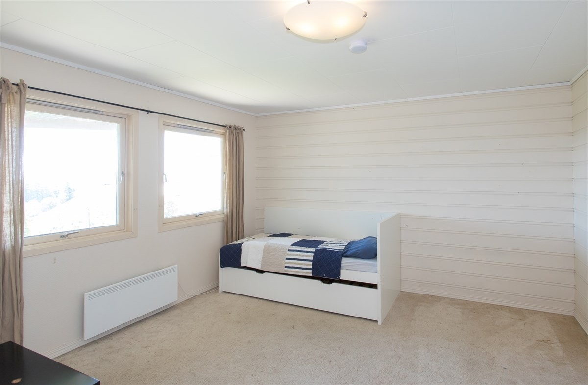 Kanelia Galleribilde