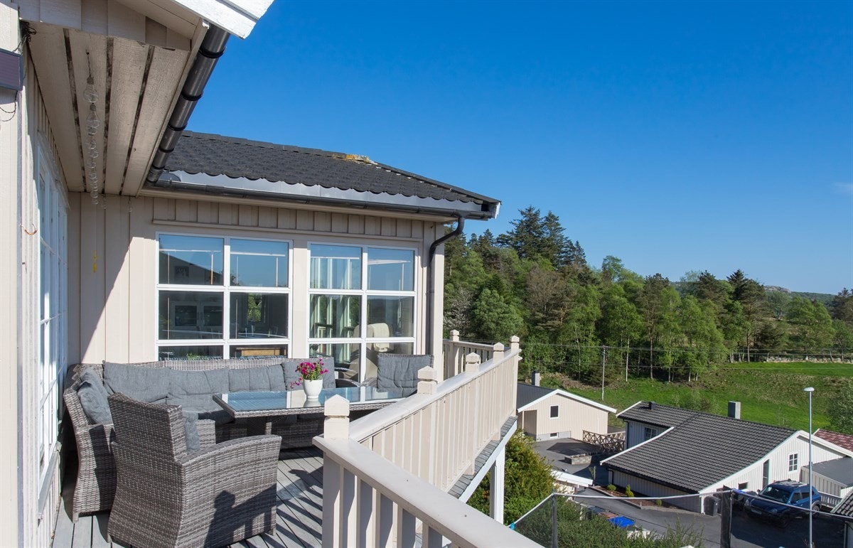 Kanelia Galleribilde