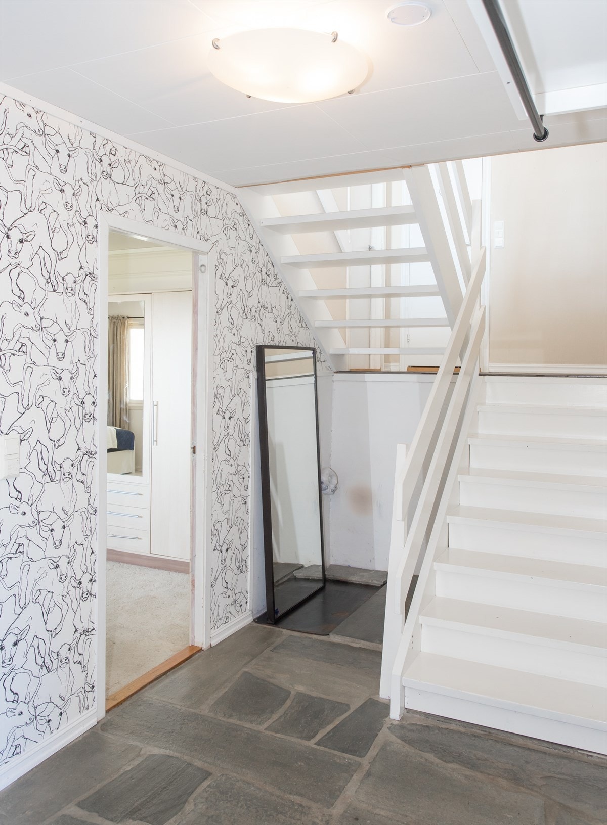 Kanelia Galleribilde