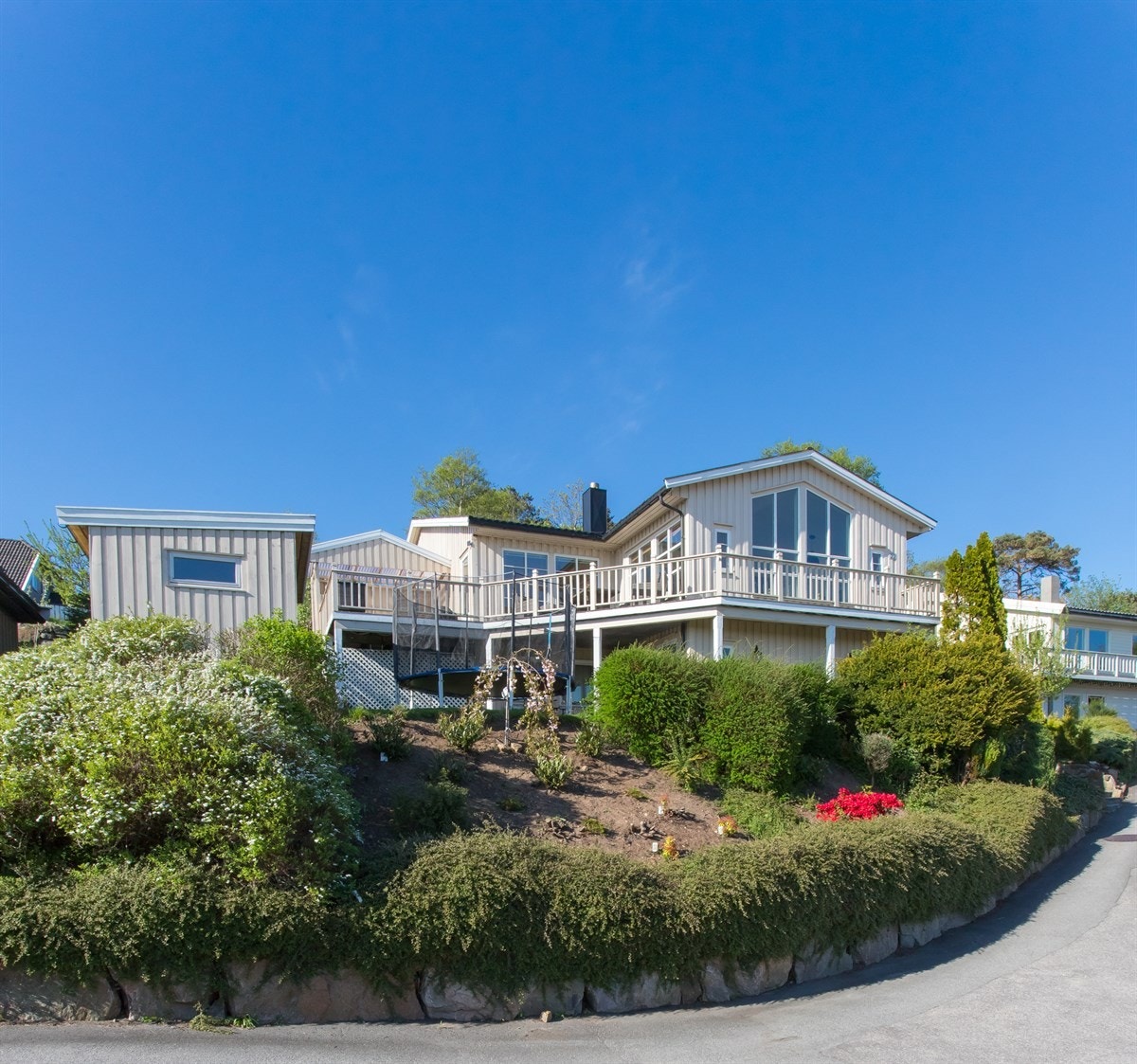 Kanelia Galleribilde