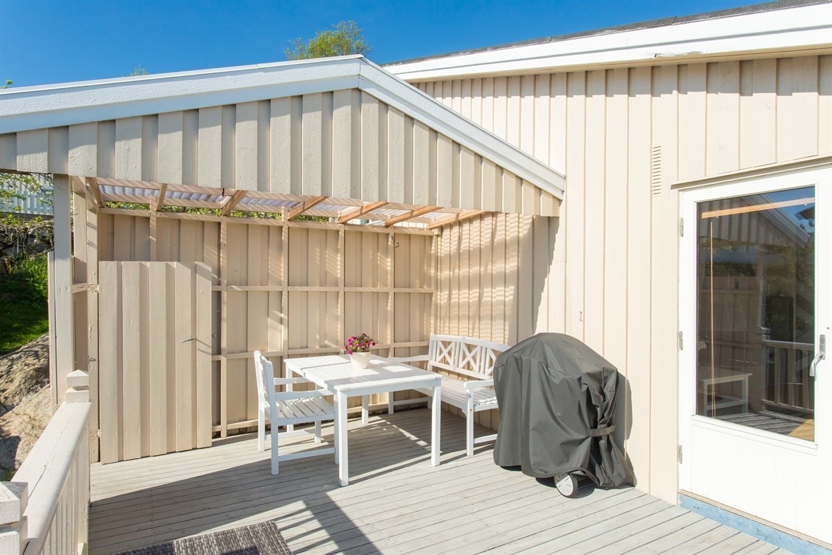 Kanelia Galleribilde