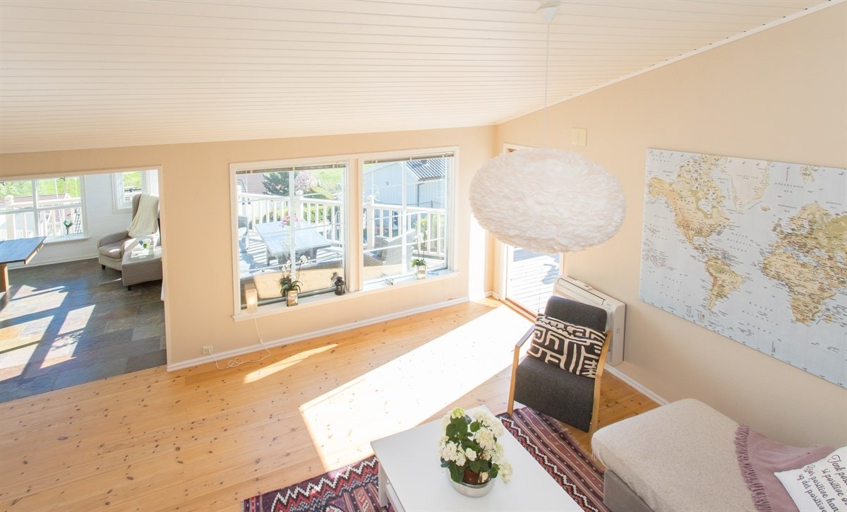 Kanelia Galleribilde