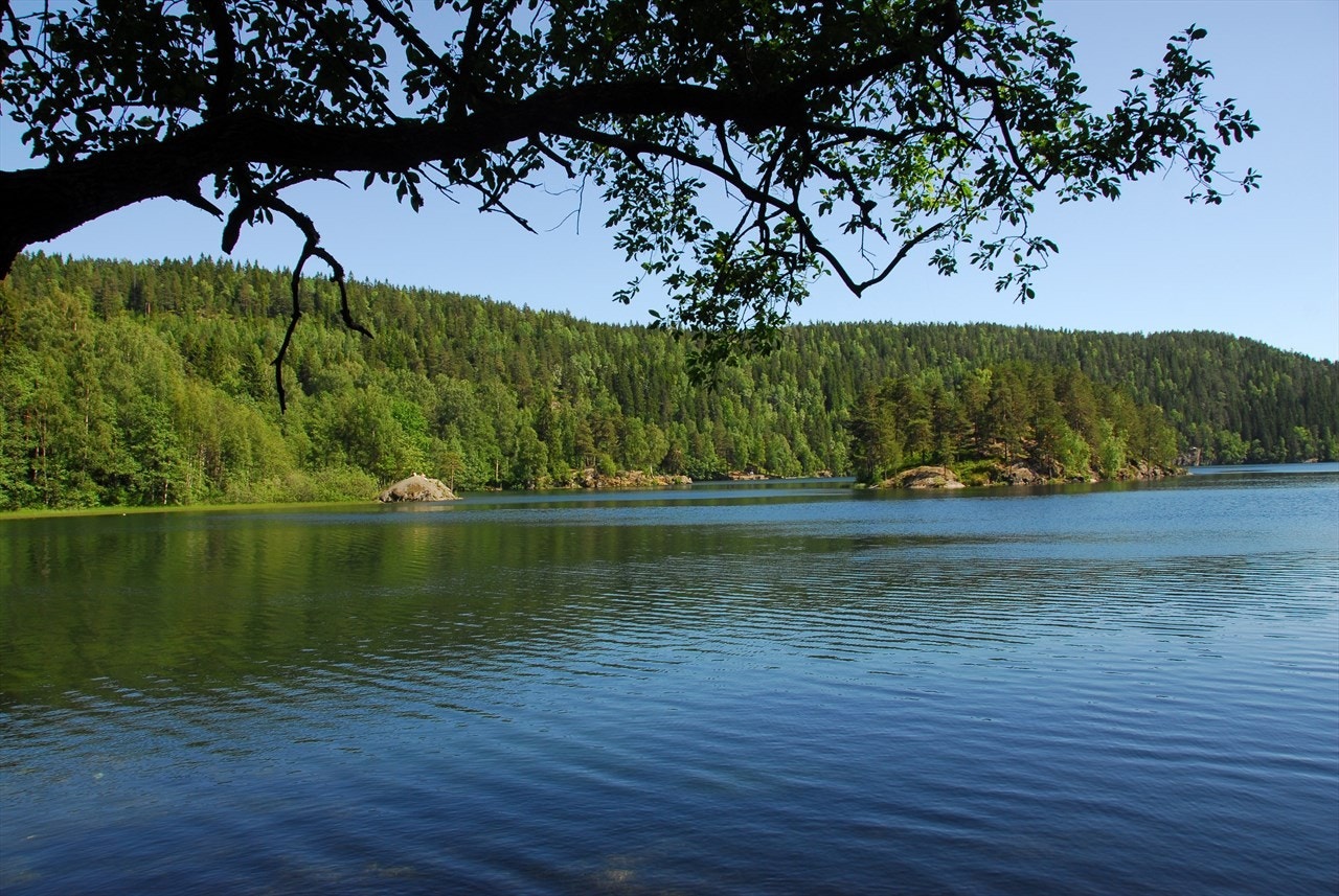 Med Østmarka "rett utenfor døren" er det tallrike rekreasjonsmuligheter hele året på gruslagte veier eller et stort nettverk av turstier. Avbildet er Lutvann som er ca. 1,2 km i luftlinje fra huset. Galleribilde