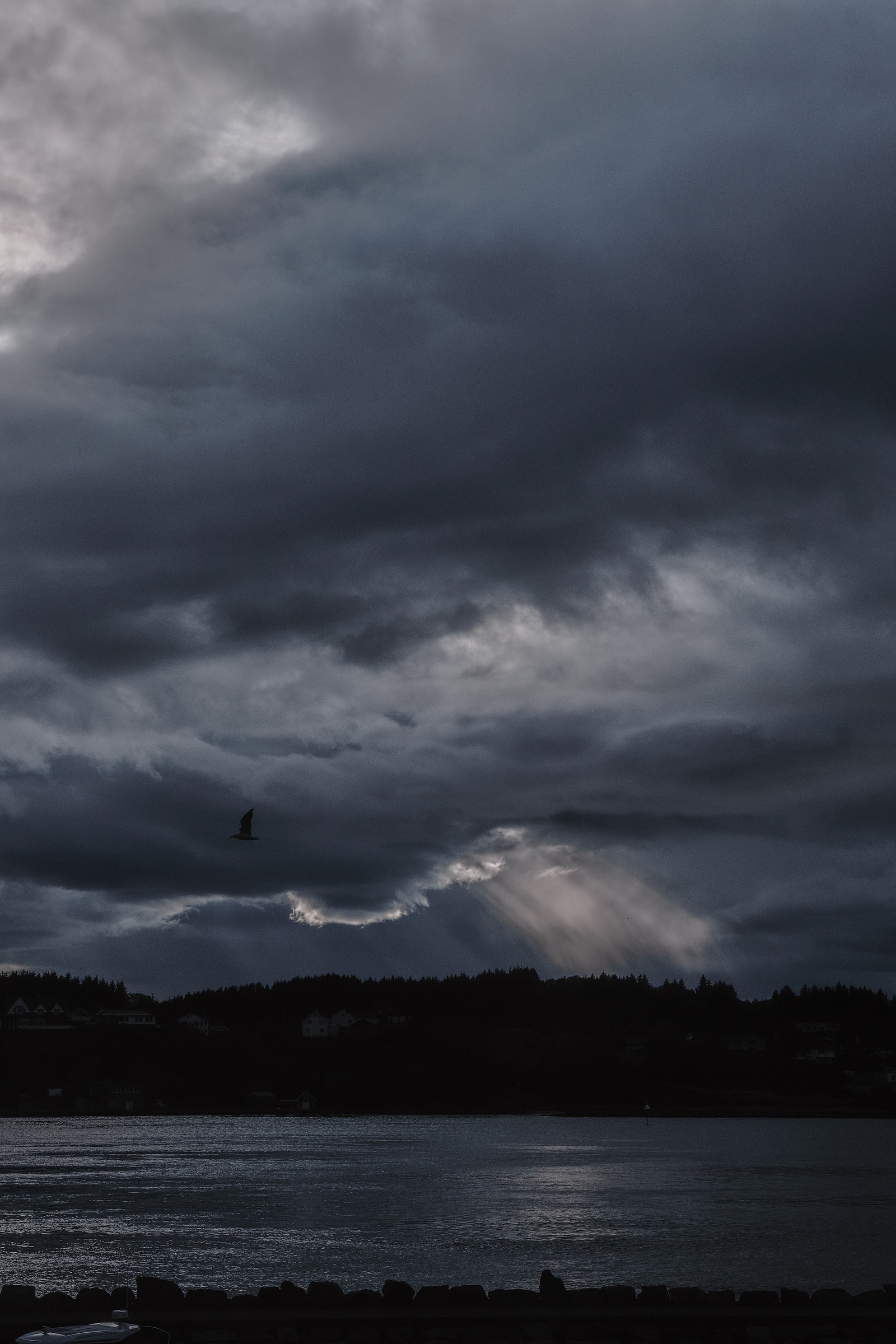 Vestlandet. Galleribilde