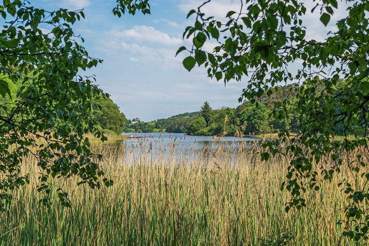 Proaktiv - Nærområdet Galleribilde