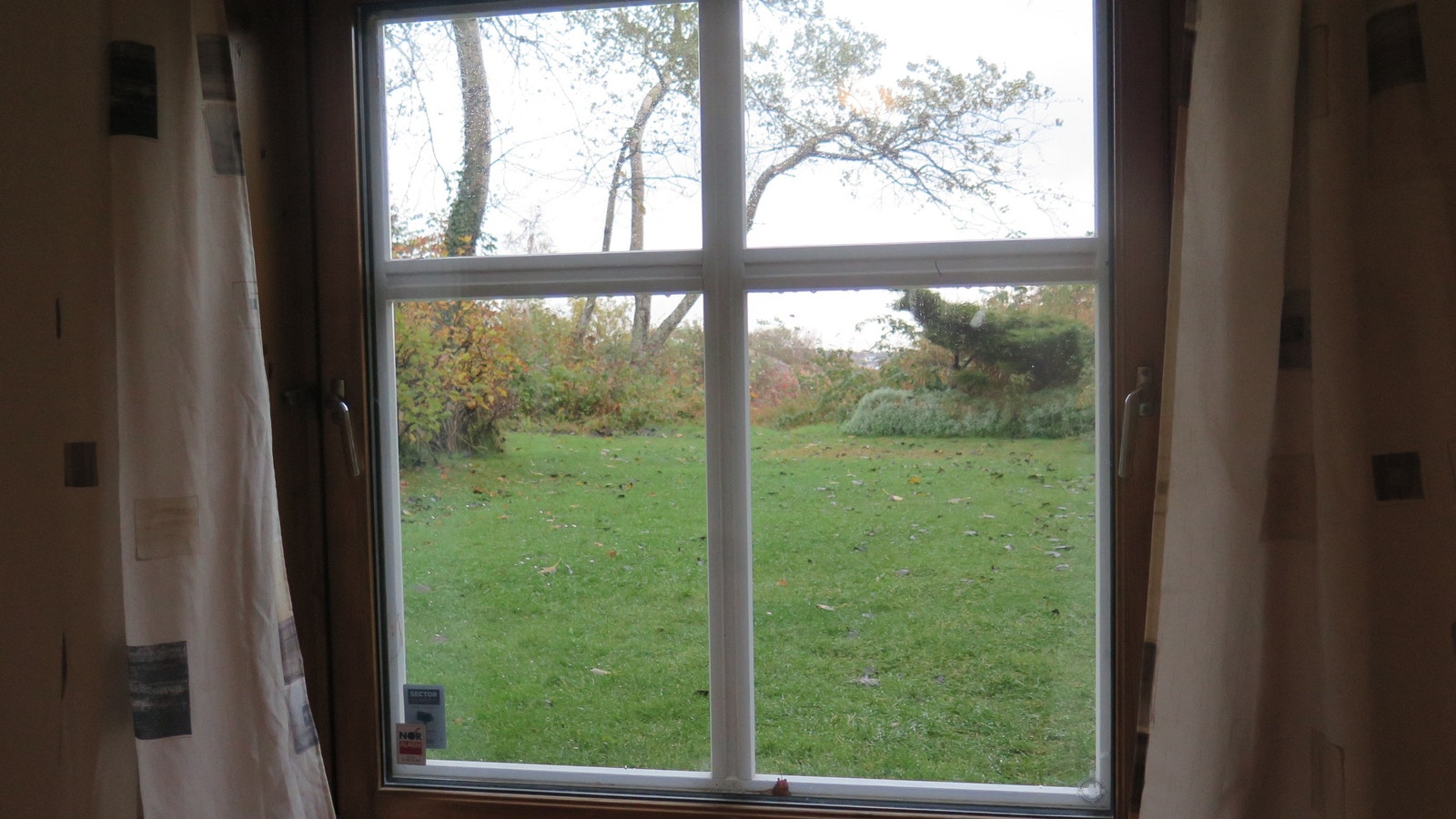 Utsikt via hagen mot Vassøy Galleribilde