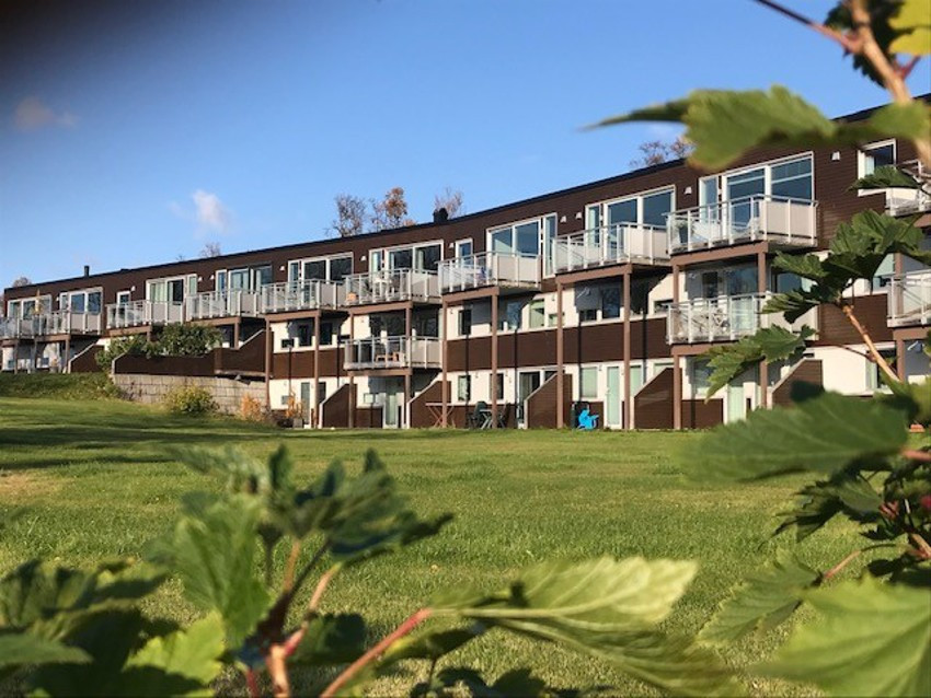 Private bilder - Alle fellesområder er parkmessig opparbeidet med plen, blomster og fine busker