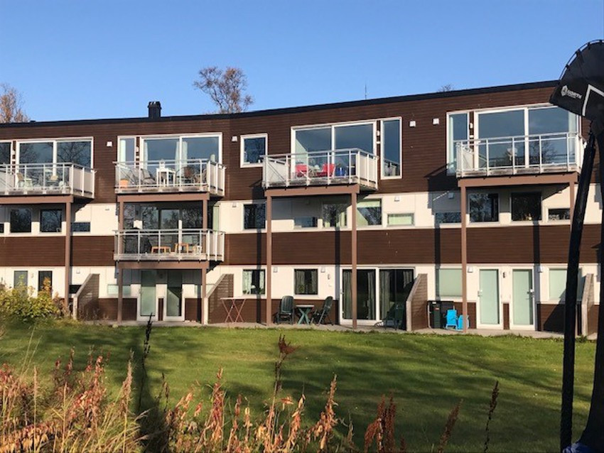 Private bilder - Det er beplantet med bl.a Spirea, Syrin og Jasmin i fellesområdene og gir et hyggelig bomiljø i hele området