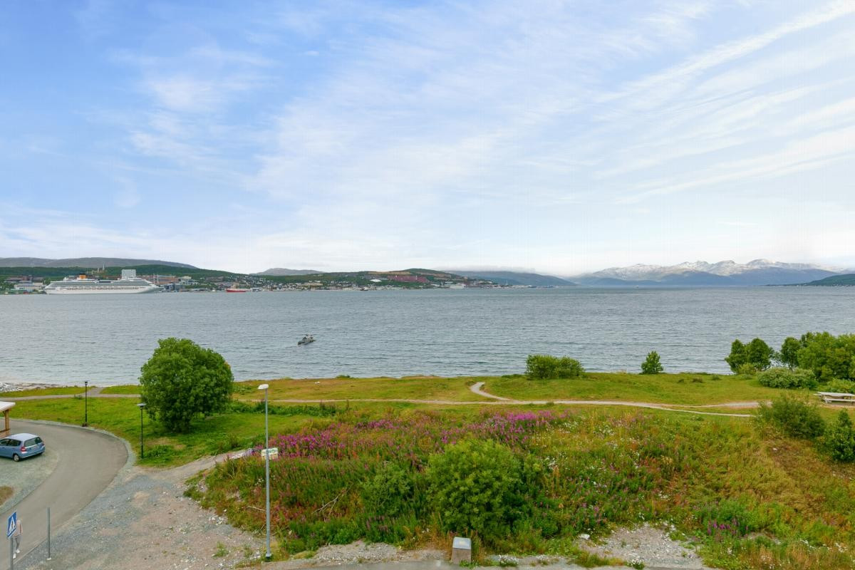 Området