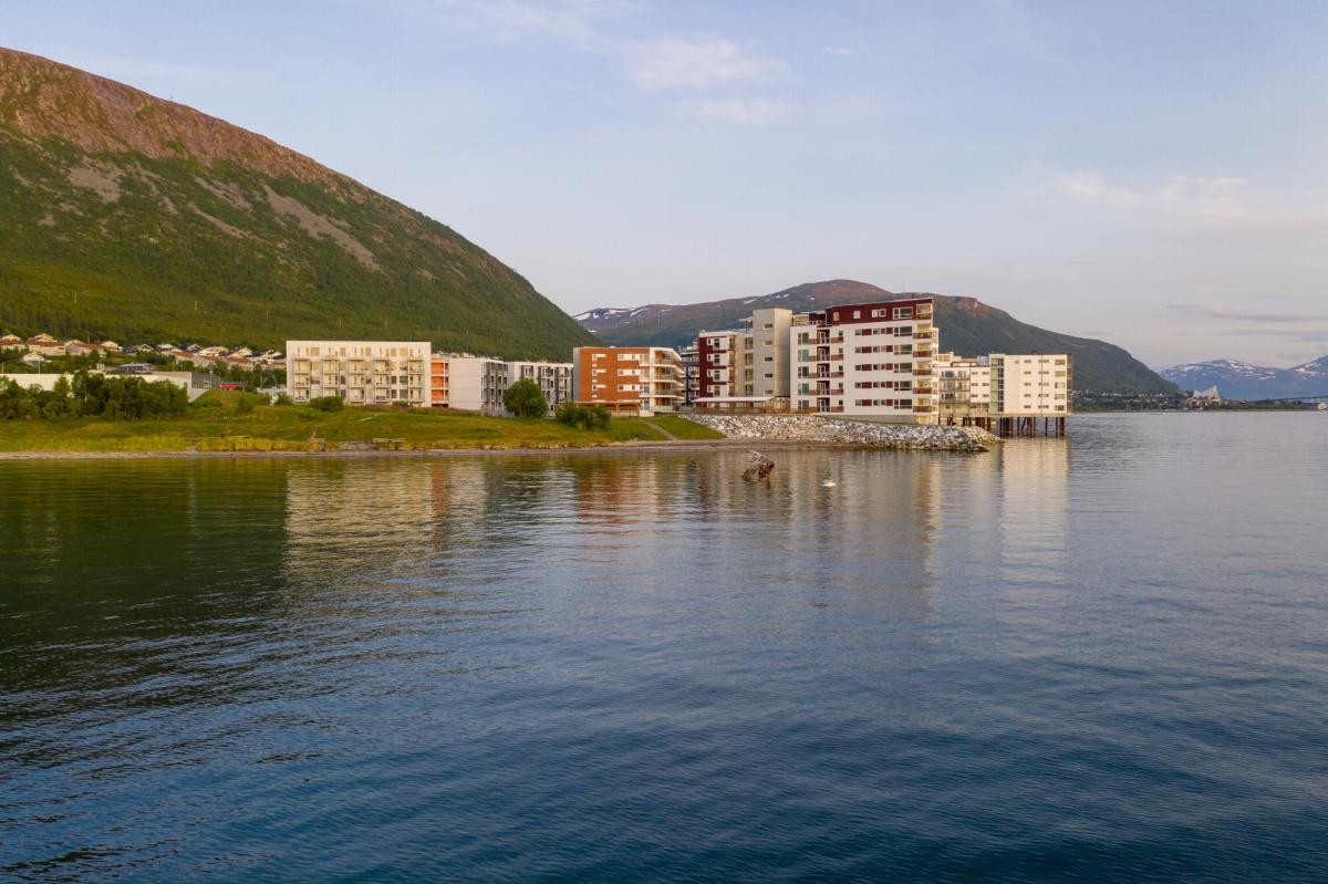 Området