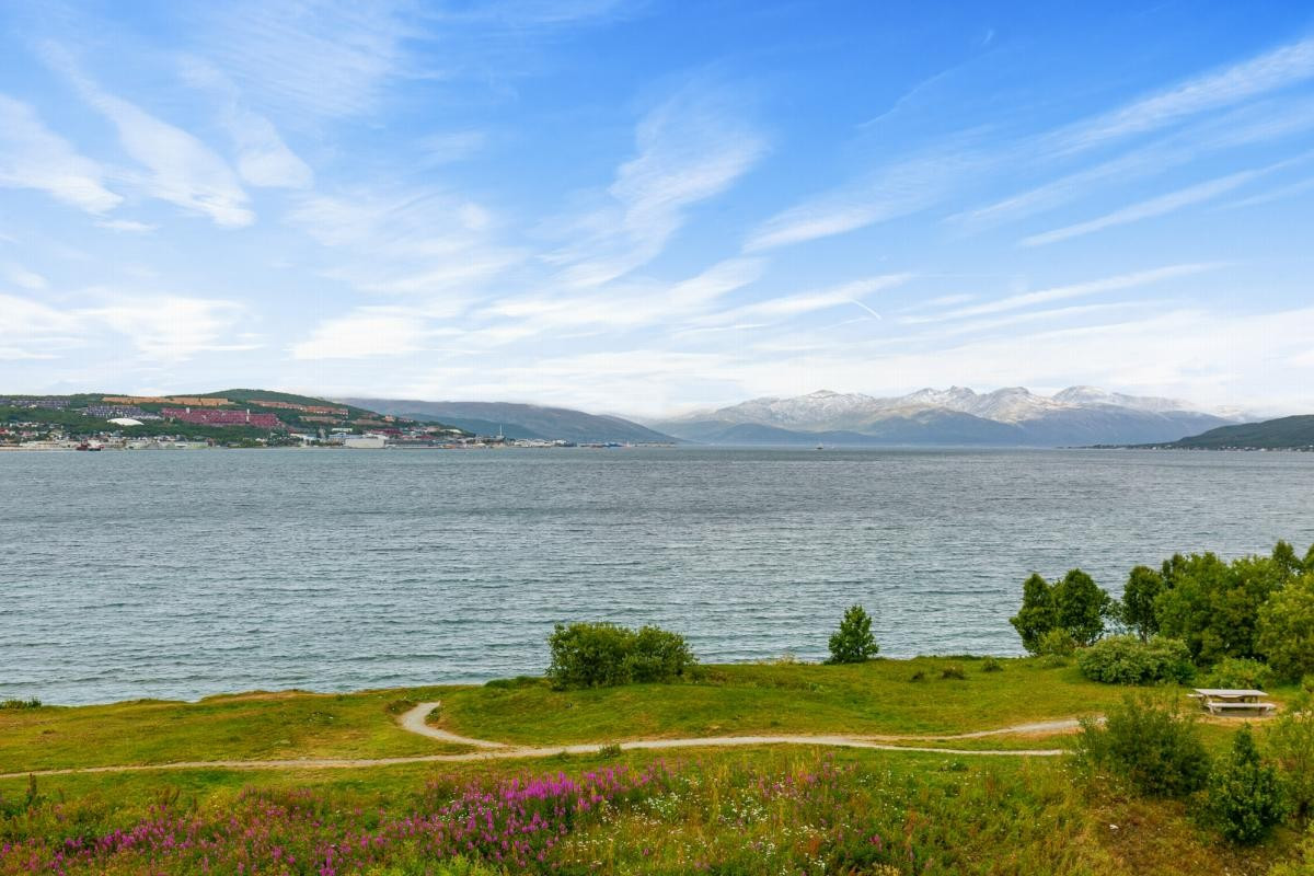 Området