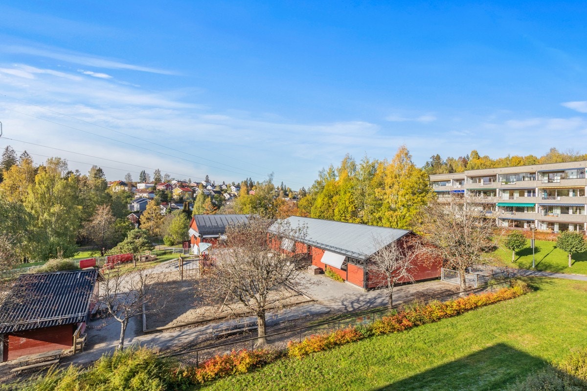 Grønt og frodig utsyn Galleribilde