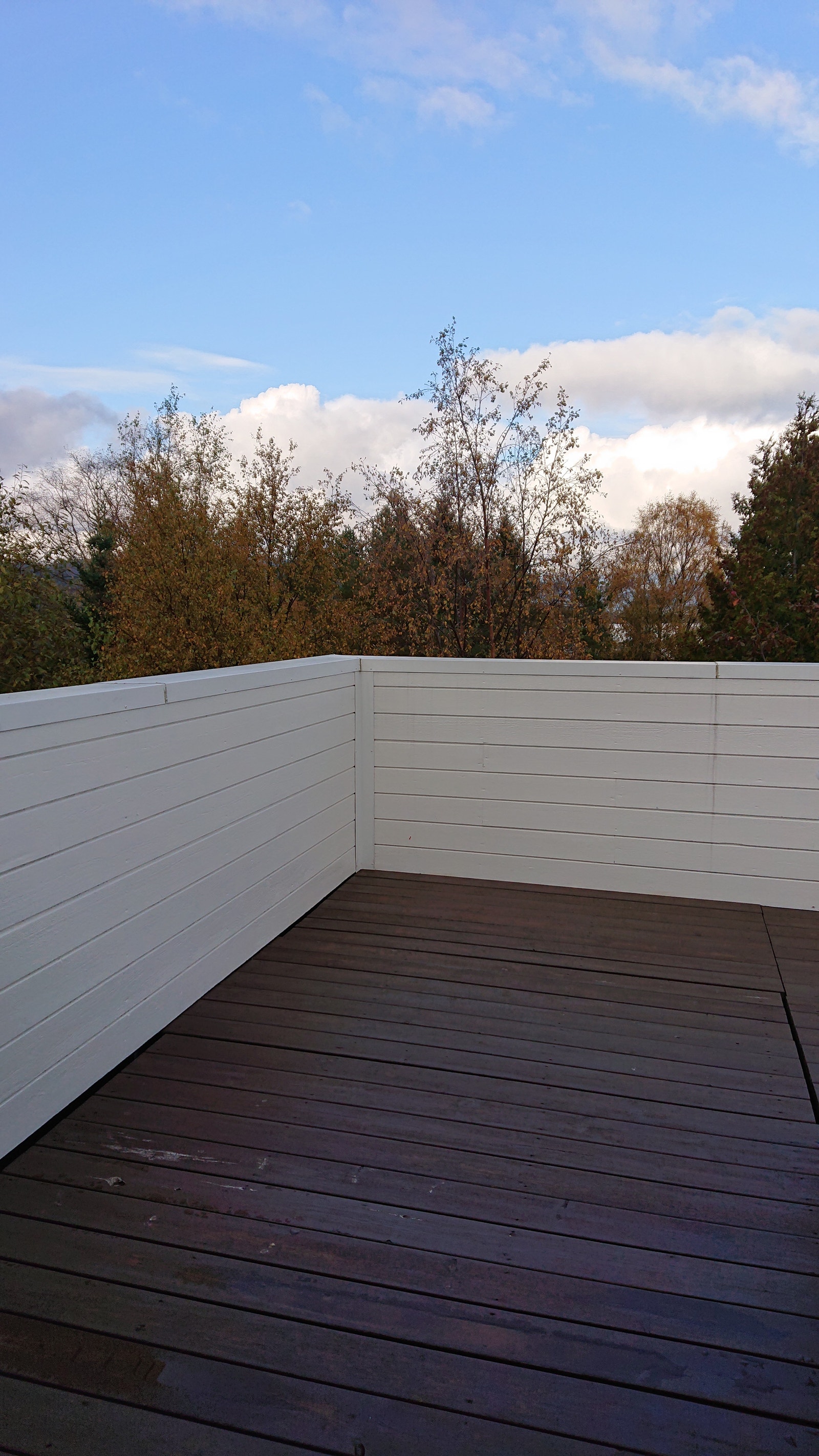 Altan 2. etg. Galleribilde