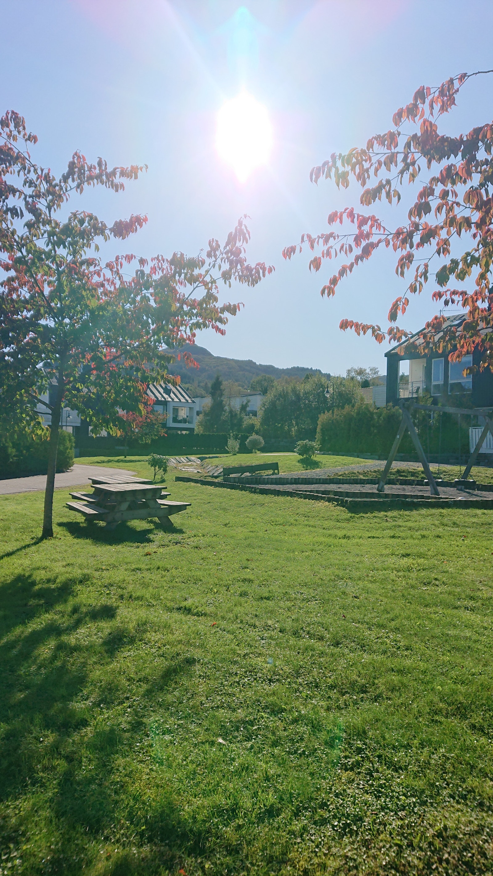 Uteområdet Galleribilde