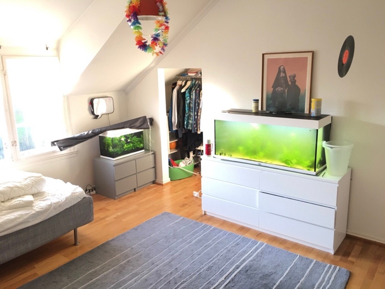 Stue / soverom Galleribilde