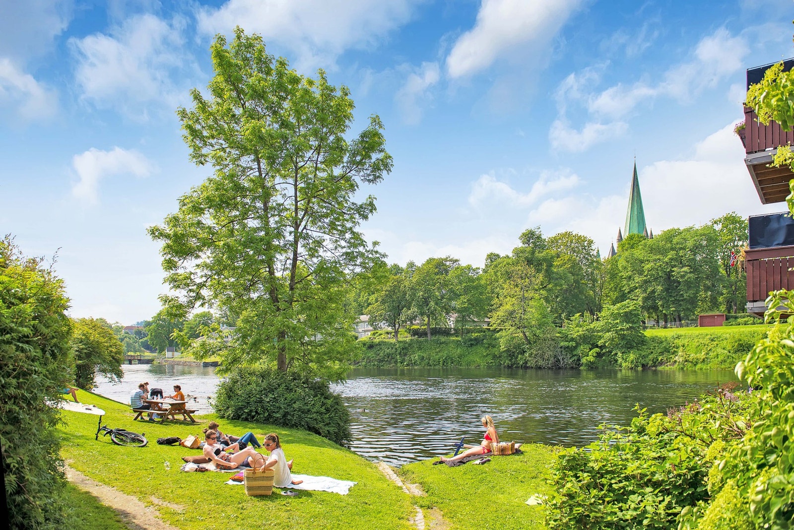 Langs Nidelven er det flere flotte parkområder som man kan benytte seg av på sommerstid Galleribilde