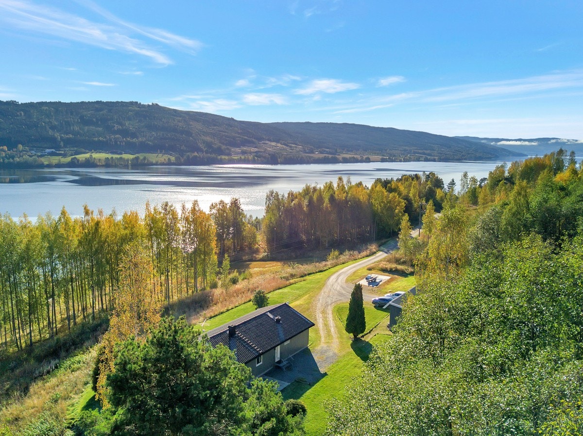 Flott utsikt over Randsfjorden Galleribilde