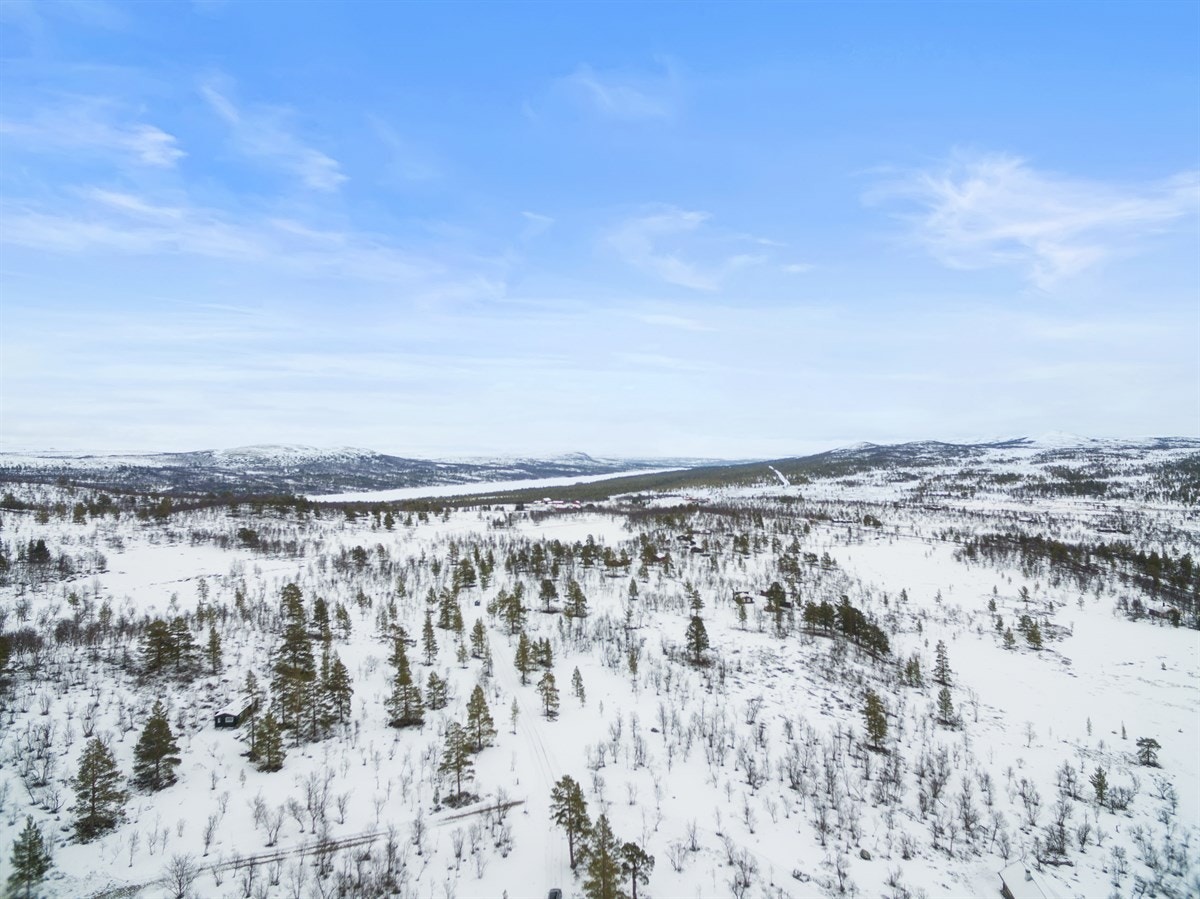 dji_0027 Galleribilde
