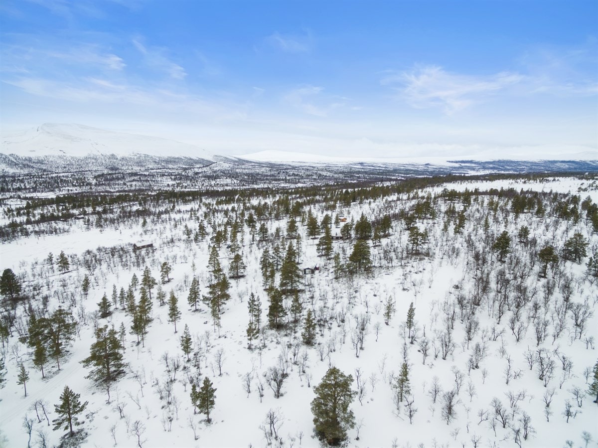dji_0018 Galleribilde