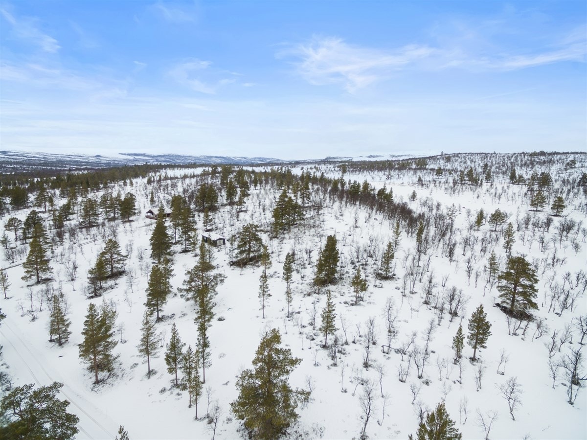 dji_0021 Galleribilde
