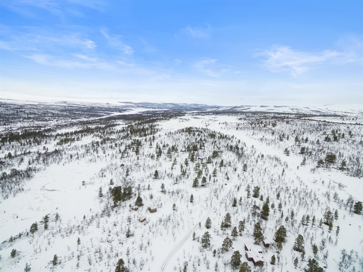 dji_0031 Galleribilde